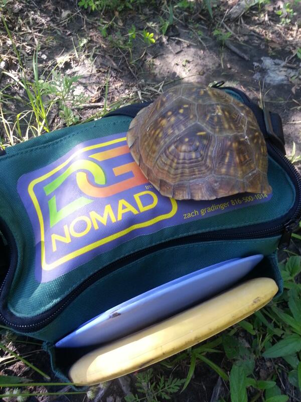 dg_nomad's tweet photo. Happy father's day! Awesome time with the family today. http://t.co/9OQfNTsnLV