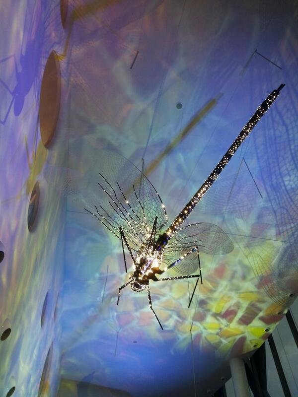 #architecture #interiordesign #milano Where is this ladybird?  <a href="/barcelomilan/">Barceló Milan</a> by <a href="/barcelohoteles/">Barceló Hotel Group</a> <a href="/fabiomessina/">Fabio Messina</a>