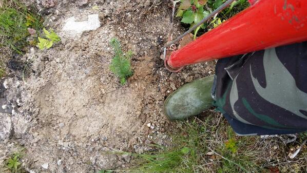jiofa's tweet photo. Kesälomalla pääsee oikeisiin töihin.. #opehommat http://t.co/WaBoCe9K7Y