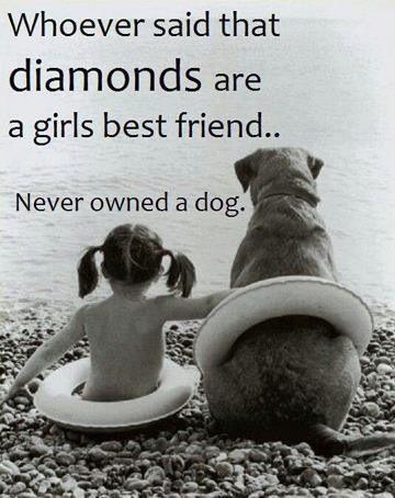 DesignLife123's tweet image. If you agree that dogs are a girls best friend, join us at #motivational speech facebook.com/events/4014504…