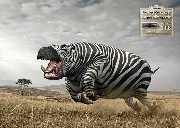 wttf2014's tweet photo. Fat but speedy. My kind of print ad! http://t.co/HZK4jrvieG