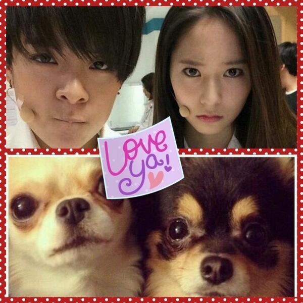 ambroliu's tweet photo. #openfollow untuk RP krystal, kamu dan aku vs jackjack and gongju.LOL http://t.co/wLZU1LEzBq