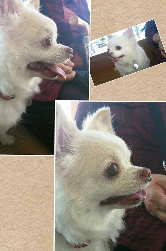 0507kumi's tweet photo. 「え！まじで！病院なんだ」 http://t.co/c0odoqVgeL
