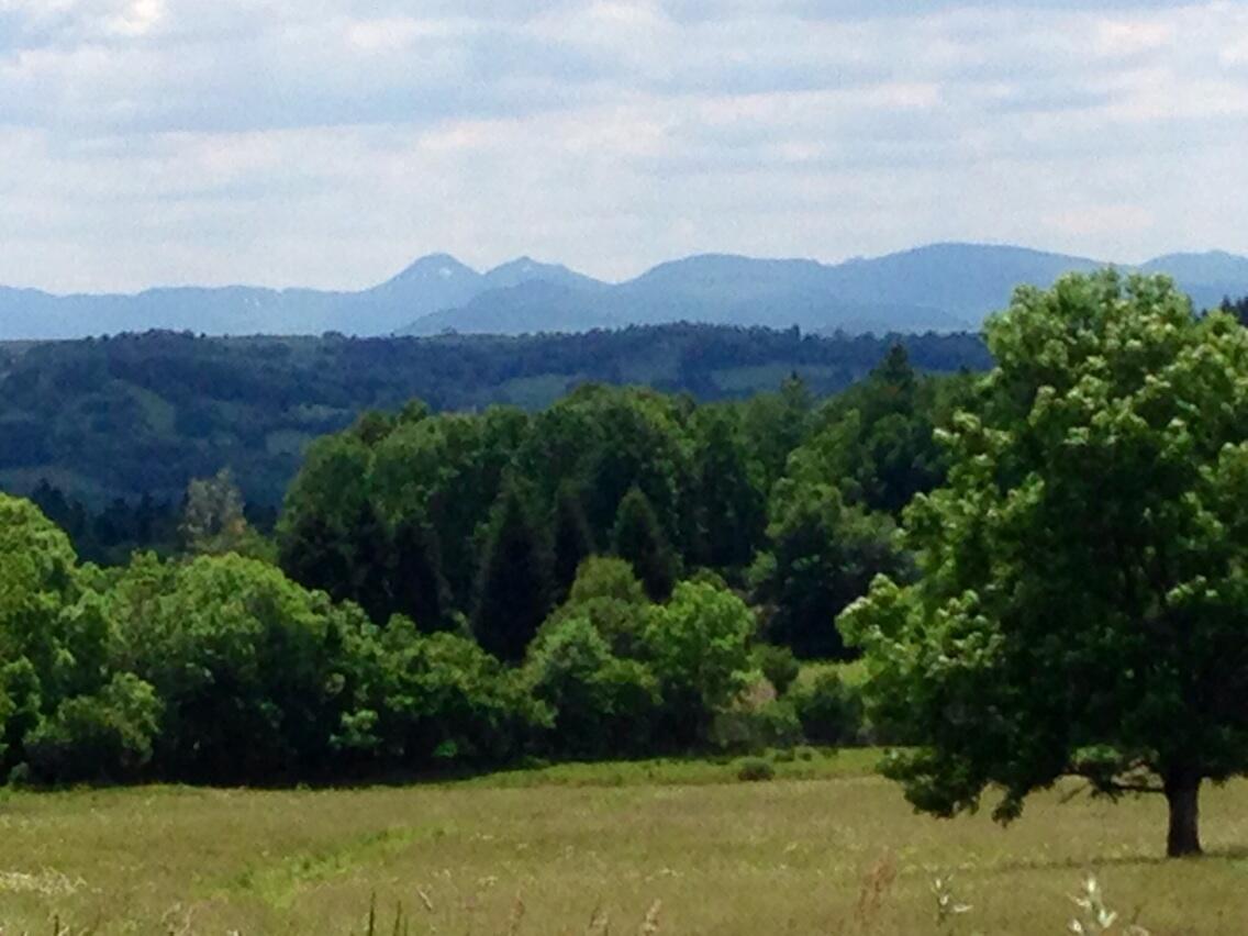 Permalien de l'image intégrée