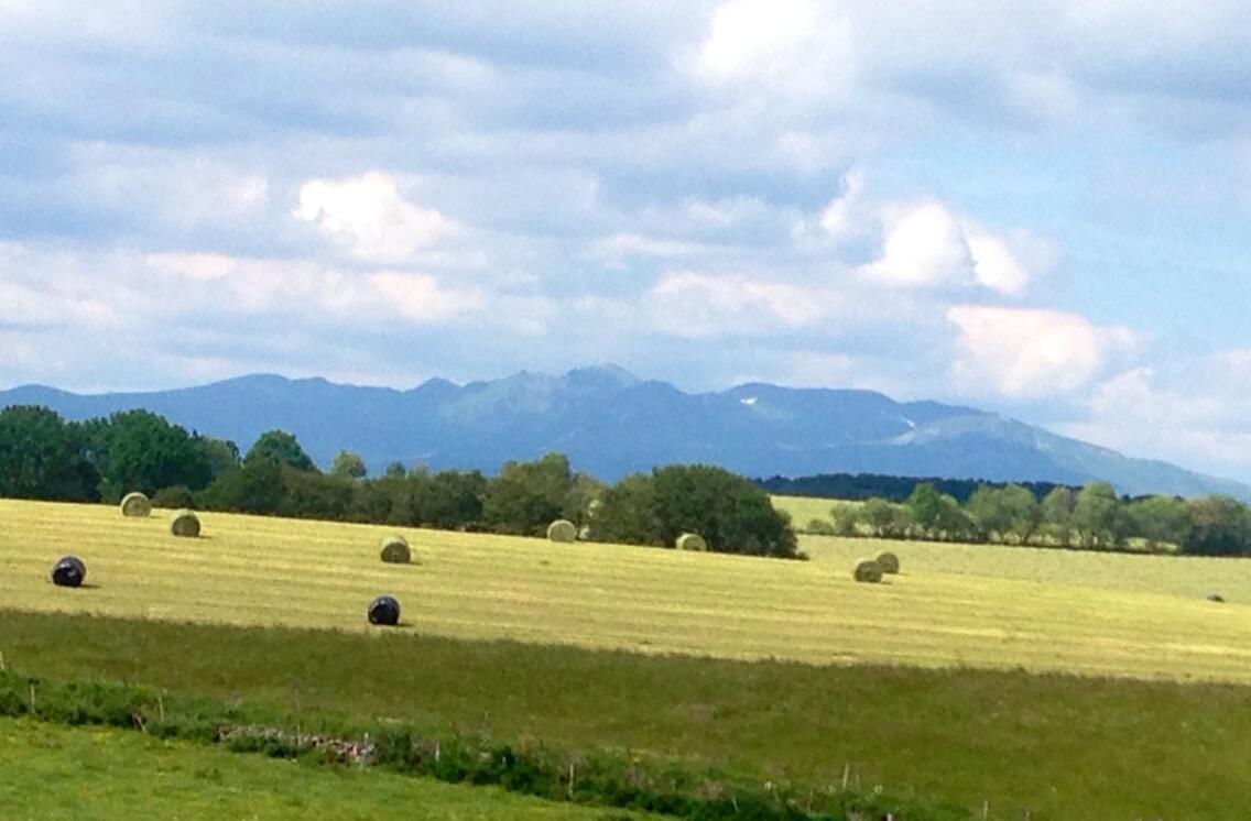 Permalien de l'image intégrée