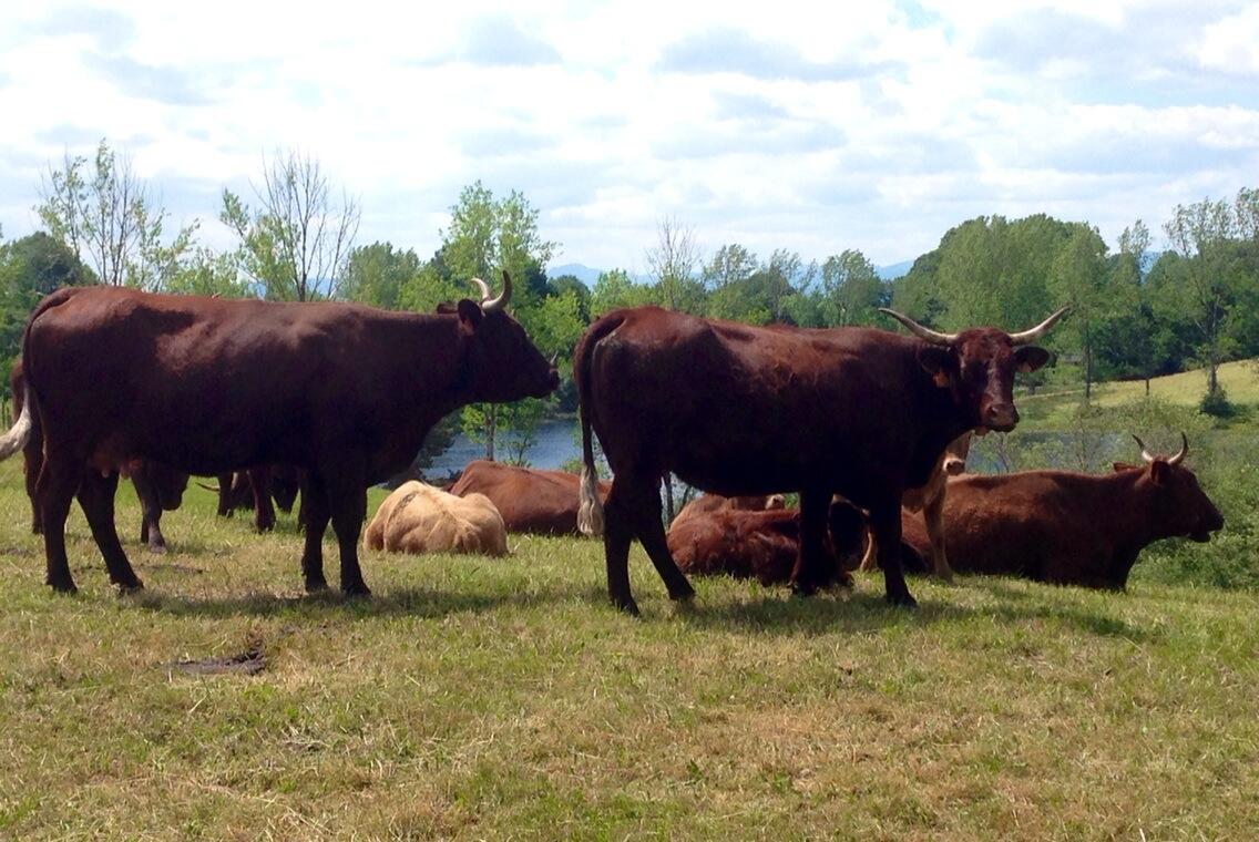 Permalien de l'image intégrée