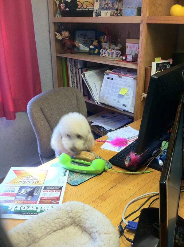 Andra (@sunnfun4me) on Twitter photo Dudley Is making calls ... There is still available space in July issue do you have equipment to sell? <a href="/MHNetwork/">Material Handling</a> Dudley Is making calls ... There is still available space in July issue do you have equipment to sell? <a href="/MHNetwork/">Material Handling</a>