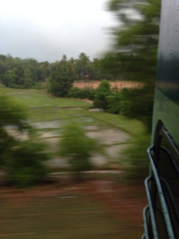 Rain, coconut trees, paddy fields. Hellooo, Goa!!
