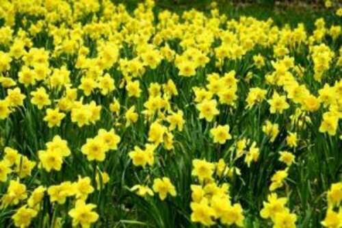 in4mnatn_health's tweet photo. How much do you know about #agrimony #agrimonia herb? Check with us http://t.co/eY4PrVNaQ6 http://t.co/VCAJ8lD9cx