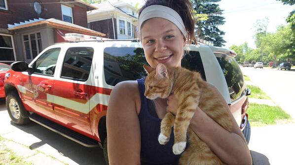 Девушка спасающая кошек. Девушка спасающая кошек. Девушка спасающая кошек. Девочки с котиками для стендофа. Девушка спасающая кошек.