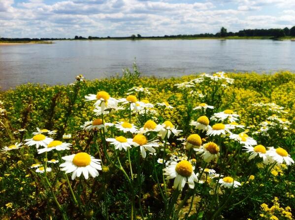 marcuswoIf's tweet image. Didn't knew that I can still shoot good quality #photos with my #iPhone 4! #mightkeepit