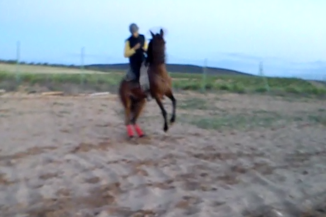 pemivf's tweet photo. Medias vueltas con mi caballo y compañero de tantas tardes de entrenamiento Relámpago http://t.co/NgBIhZKsdg