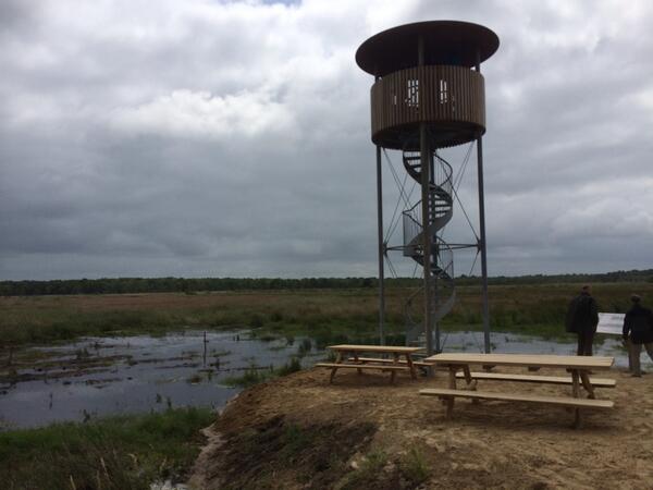 reintjanauwema's tweet image. En voor de liefhebbers een paar foto's.. @Natuurmonument @fochteloerveen