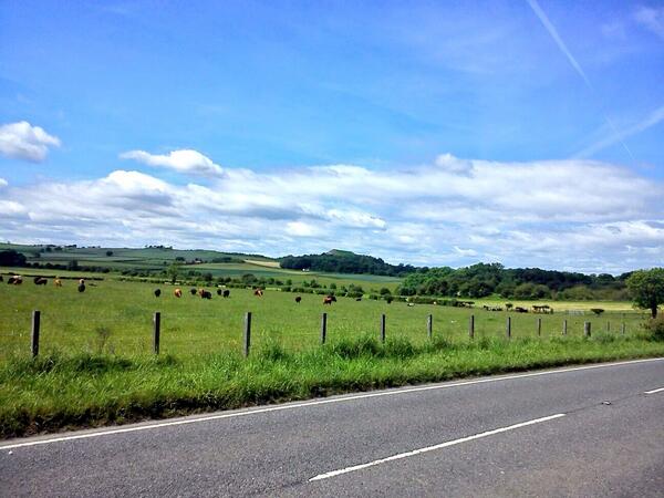 NPurdonLiviFC's tweet image. #photothree #bikeride