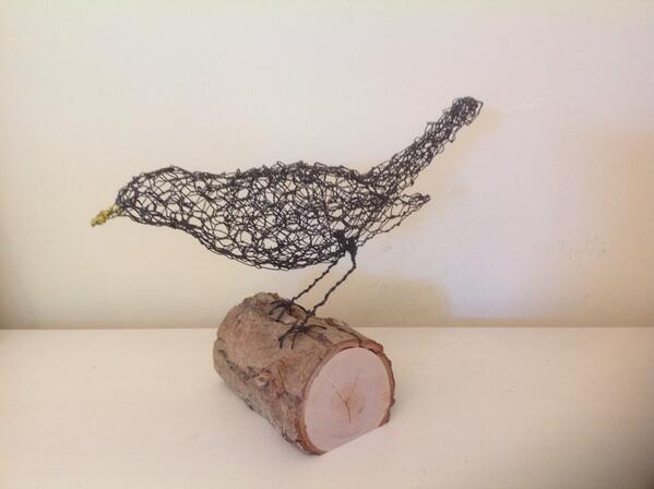 NicoletteDawn1's tweet photo. Another one of these fellas will be flying off to his new home this week #dorsethour http://t.co/G5BqSI9HOM
