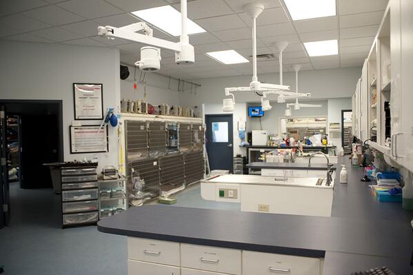 Looking for experienced, part-time Veterinary Technicians! View full details on our website, bevsvt.com