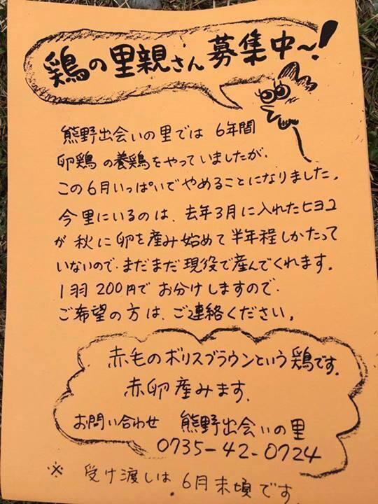 和歌山の養鶏農家が親里探してます！