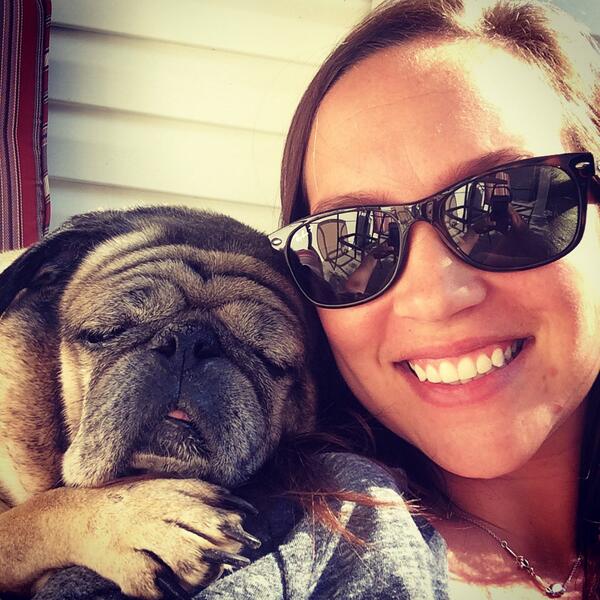 Otis The Pug (@ThePugOtis) / Posts / X