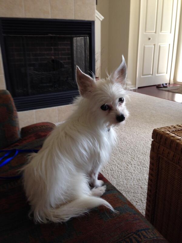 lisawilky's tweet photo. http://t.co/utQgM8qJRC