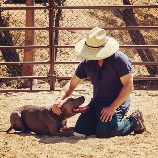 cesarmillan's tweet photo. My best friend. #juniormillan http://t.co/JA5IKgIewy