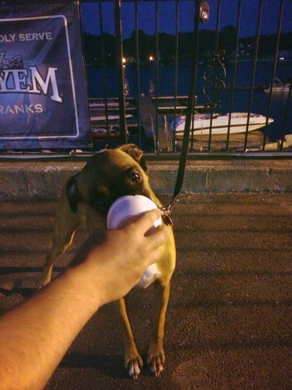 MaxLikesSnacks's tweet photo. Madulkas ice cream treat. #sogood #whoneedsdinner #bestwalkever http://t.co/BCPI0DogqG