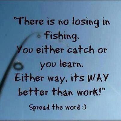 swan_matthew tweet picture