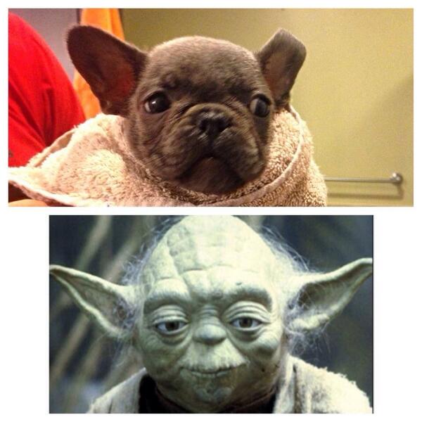 Junie_Bug17's tweet image. Yesssssss!!!!!!