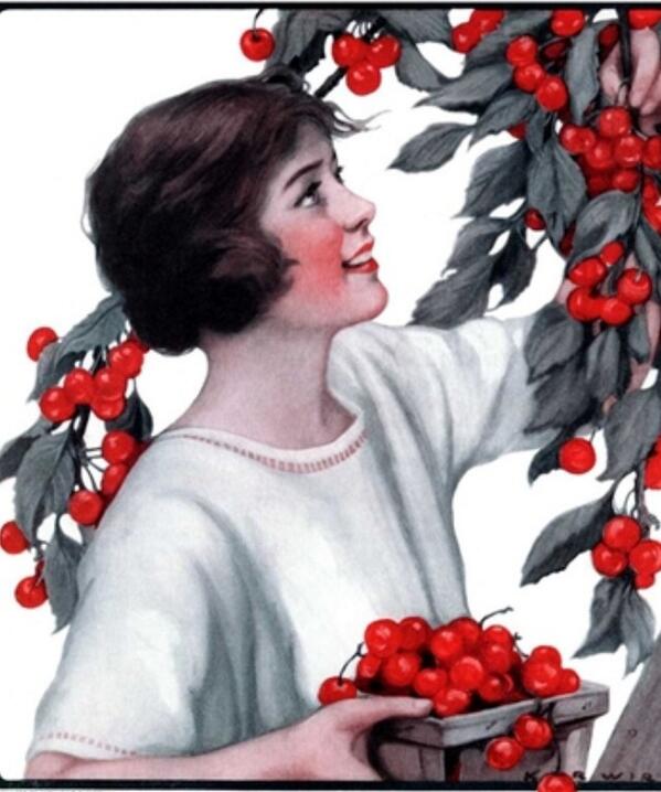 avesfruitshare's tweet photo. Another cherry harvest, Wednesday 6/18 6:30 in the upper Aves. Email info@avenuesfruitshare.org to sign up! http://t.co/3Pb1UhBbnh