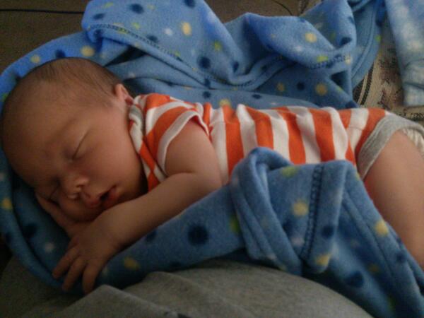 jenprola25's tweet photo. Our bubba loves to seep :) http://t.co/Y1rZUIg1yK