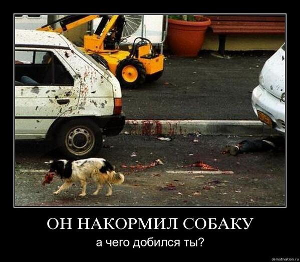 Calektriand tweet picture