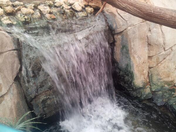 AhHamd202's tweet photo. يسعد صباح القلوب النقية… http://t.co/QE3tf6C1JG