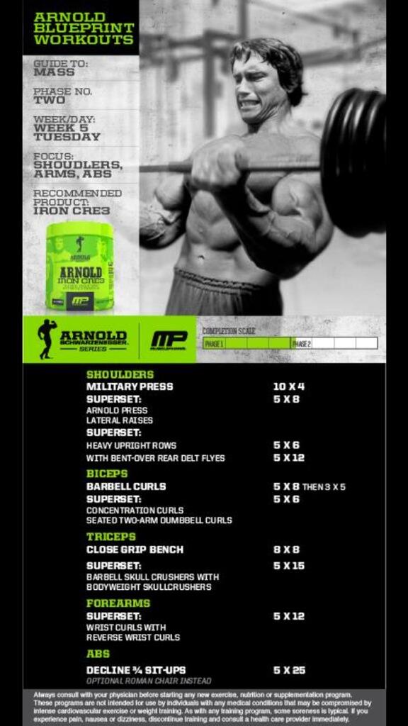 Arnold bodybuilding program hotsell