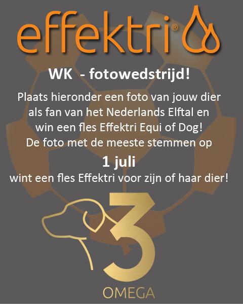 Effektri Omega 3 tweet media