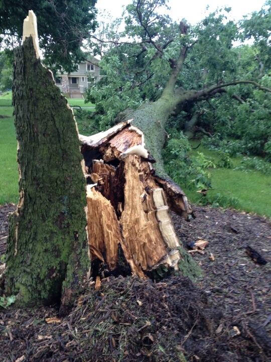 WrightADavid's tweet image. West of Admissions. #drakeweather #orientation2014