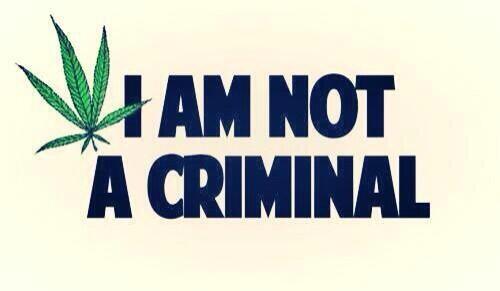 RichardsonNigel's tweet image. 🍁I am not a criminal