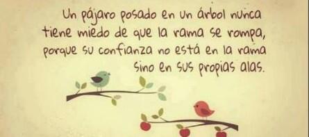 10_tick's tweet photo. Días en que es obligado pensar en la suerte que tengo....Tenemos ramas de roca🍊 http://t.co/mUnAQrGS0H