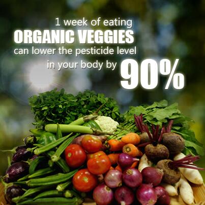 theorganicworld's tweet photo. #DidYouKnow 
#theorganicworld http://t.co/xTwWAOpNu5