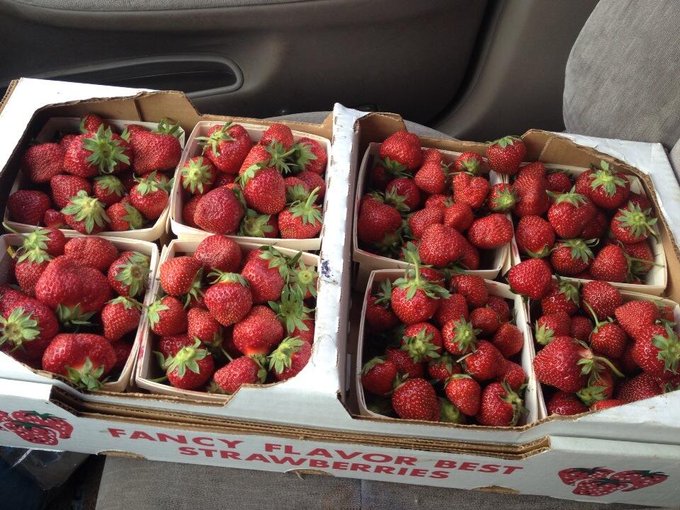 The farmers market was good to me! http://t.co/U1JsCW33nb<a href="/tag/workselfie"class="tags"><span>#workselfie</span></a>