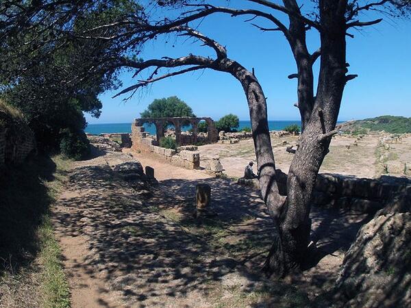 solidariTplonG's tweet photo. Les ruines antiques de Tipaza sur les traces d'Albert Camus https://t.co/Koqvd7KKAJ http://t.co/Q484xJ9I6M