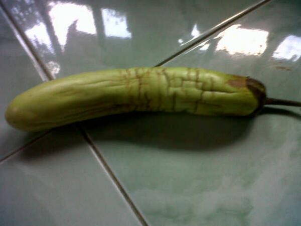 ChufankTebo's tweet photo. Buat ngocok. Malam ini lagi kagak butuh kontol http://t.co/YLvoMzCKnp