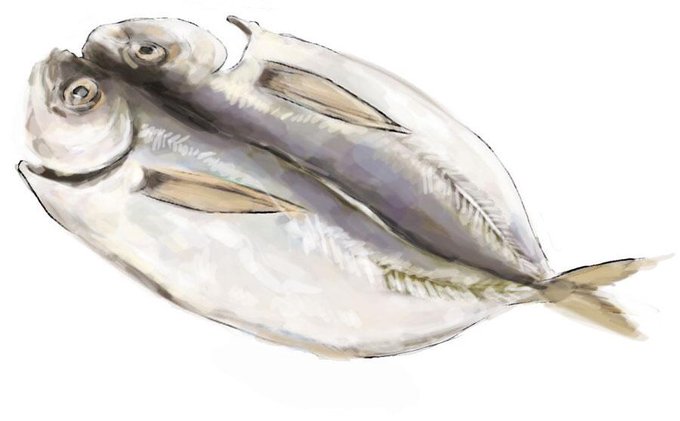 アジの開きのtwitterイラスト検索結果 古い順