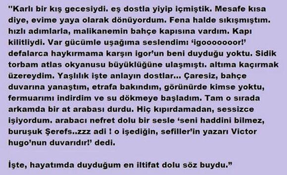 Victor Hugo'nun Aldığınız en iyi iltifat nedir sorusuna yanıtı