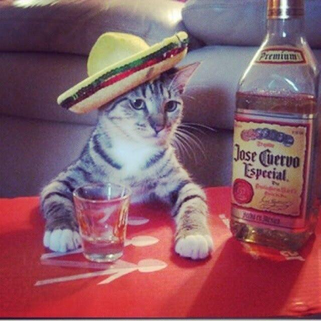 BqW1whFIQAEoVcU.jpg:large