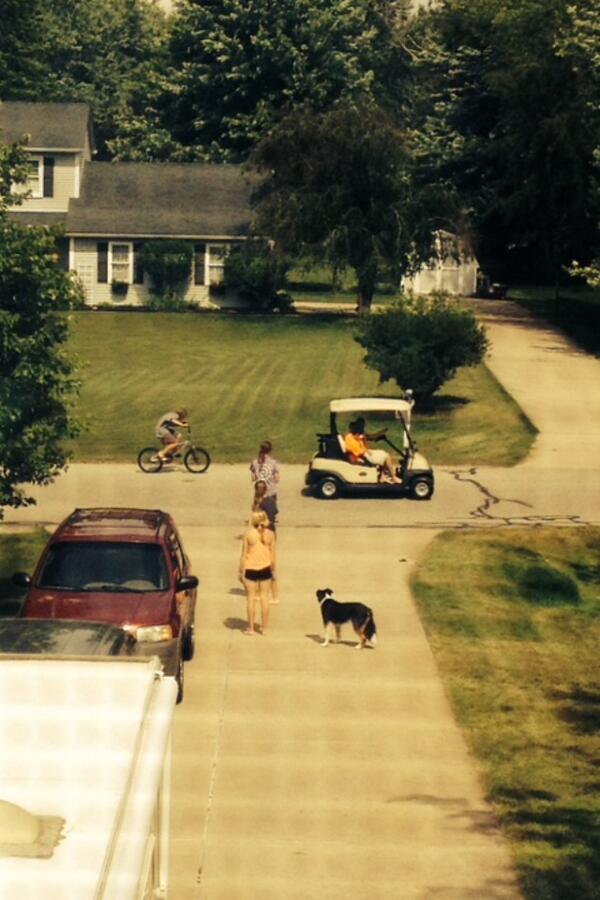 hannsbanan's tweet photo. lol the boys we sent cooper after last week are back http://t.co/pxHltuIBdw