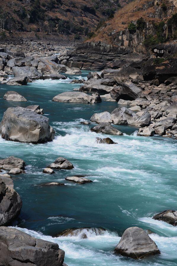 foolfish00819 tweet media