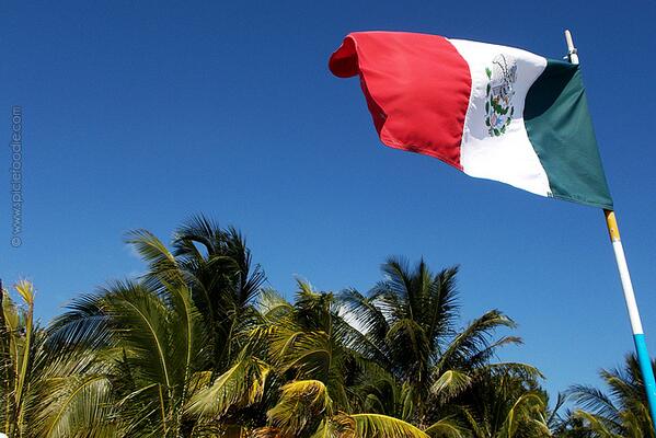 MexicanMeatless's tweet image. Getting ready for #MexicoVsBrasil game today #NotiTri #QuieroCreer #VamosMexico #SiSePuede #TeamMexico #WorldCup