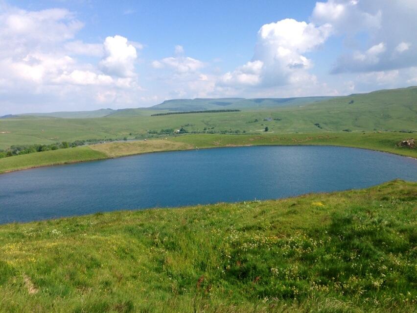 Permalien de l'image intégrée