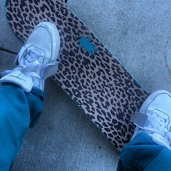 ToreyPudwill tweet picture