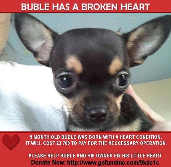 helpbuble tweet picture