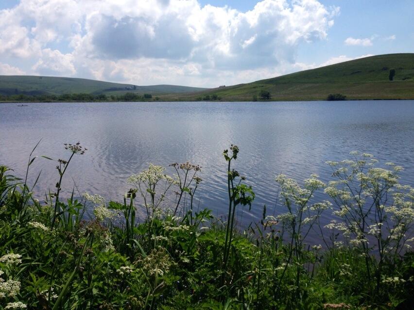 Permalien de l'image intégrée